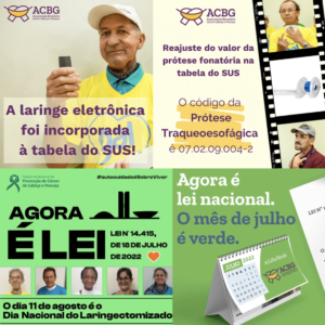 Conquistas-advocacy-ACBG-Brasil