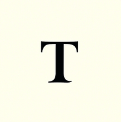 the transnational times stg eui